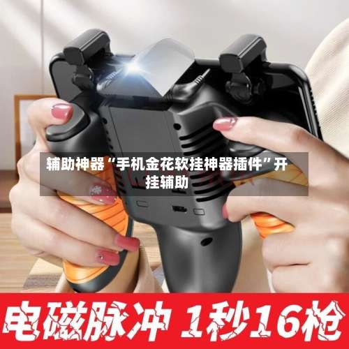 辅助神器“手机金花软挂神器插件	”开挂辅助-第1张图片