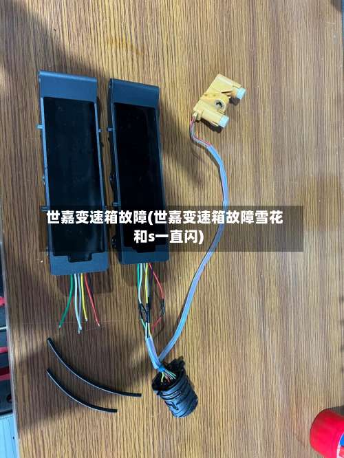 世嘉变速箱故障(世嘉变速箱故障雪花和s一直闪)-第2张图片