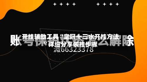 开挂辅助工具“皇冠十三水开挂方法”详细分享装挂步骤-第3张图片