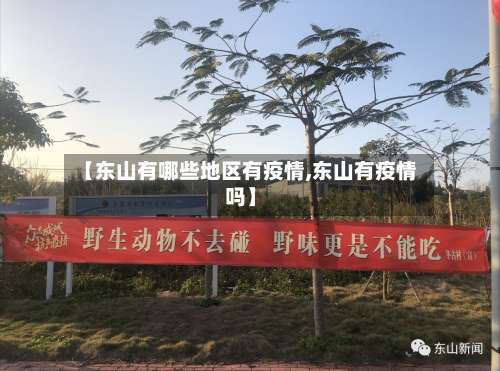 【东山有哪些地区有疫情,东山有疫情吗】-第2张图片