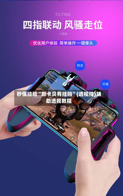 秒懂经验“新卡贝有挂吗”(透视挂)辅助透视教程-第3张图片