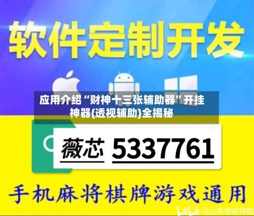应用介绍“财神十三张辅助器	”开挂神器{透视辅助}全揭秘-第2张图片