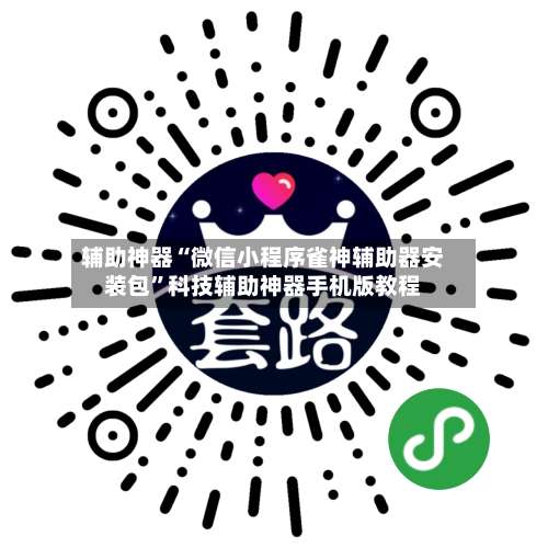 辅助神器“微信小程序雀神辅助器安装包”科技辅助神器手机版教程-第3张图片