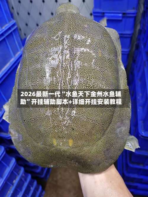 2026最新一代“水鱼天下金州水鱼辅助”开挂辅助脚本+详细开挂安装教程-第1张图片