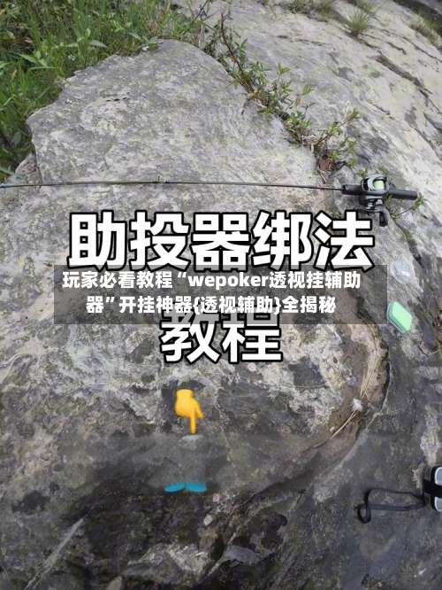 玩家必看教程“wepoker透视挂辅助器”开挂神器{透视辅助}全揭秘-第3张图片