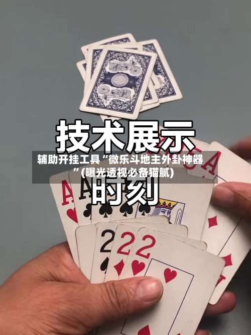 辅助开挂工具“微乐斗地主外卦神器”(曝光透视必备猫腻)-第1张图片