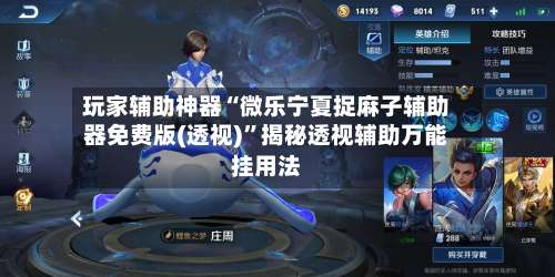 玩家辅助神器“微乐宁夏捉麻子辅助器免费版(透视)”揭秘透视辅助万能挂用法-第1张图片