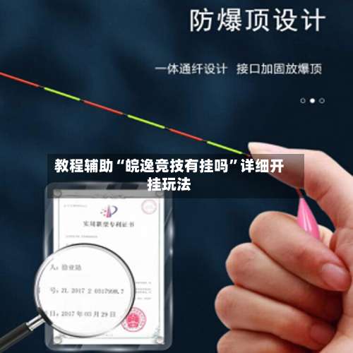 教程辅助“皖逸竞技有挂吗”详细开挂玩法-第3张图片