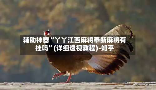 辅助神器“丫丫江西麻将奉新麻将有挂吗”(详细透视教程)-知乎-第1张图片