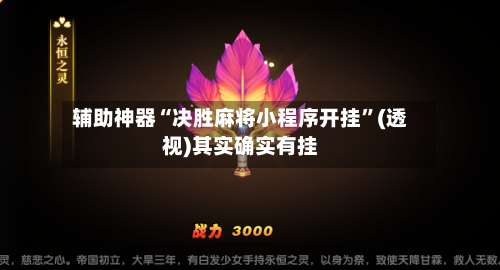辅助神器“决胜麻将小程序开挂”(透视)其实确实有挂-第3张图片
