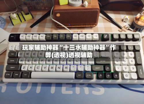 玩家辅助神器“十三水辅助神器”作弊(透视)透视辅助-第2张图片