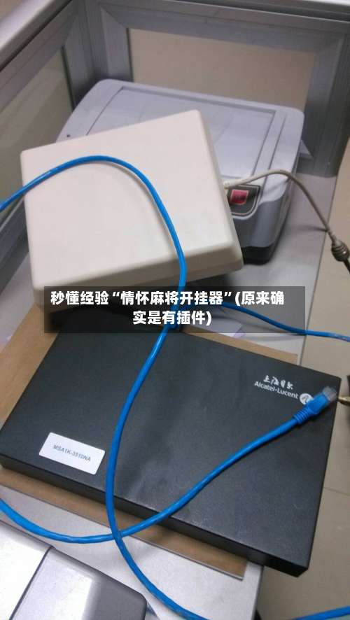 秒懂经验“情怀麻将开挂器	”(原来确实是有插件)-第2张图片