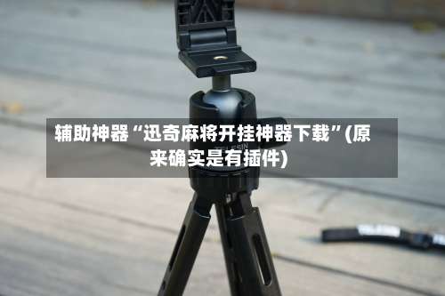 辅助神器“迅奇麻将开挂神器下载”(原来确实是有插件)-第2张图片