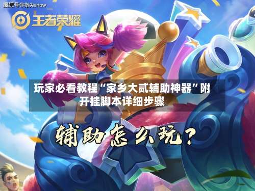 玩家必看教程“家乡大贰辅助神器”附开挂脚本详细步骤-第3张图片