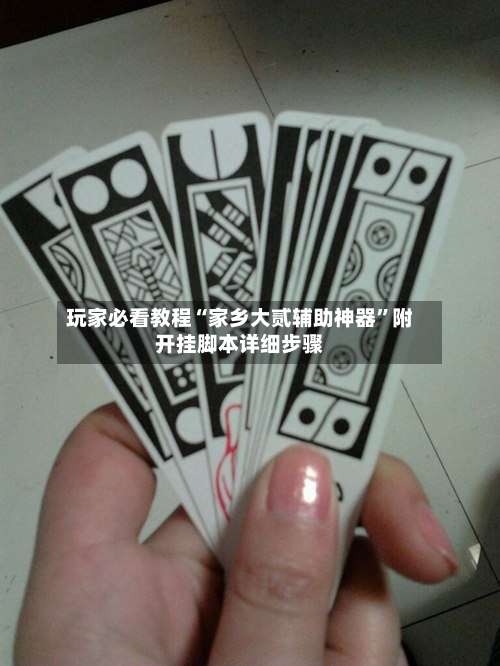 玩家必看教程“家乡大贰辅助神器	”附开挂脚本详细步骤-第2张图片