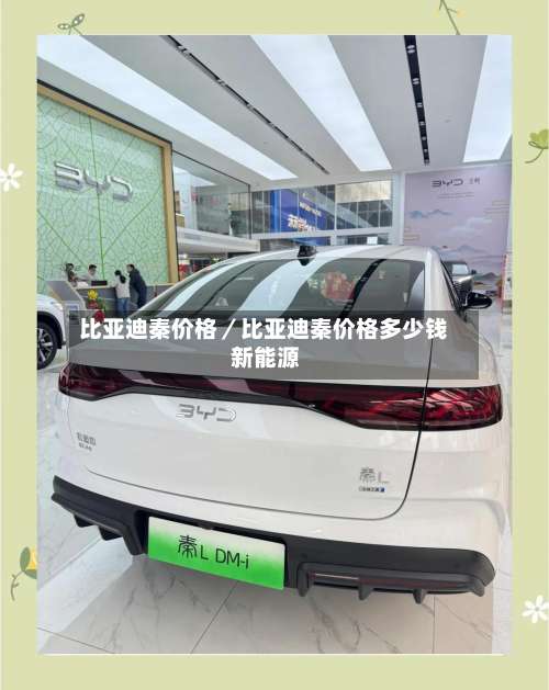 比亚迪秦价格／比亚迪秦价格多少钱 新能源-第2张图片