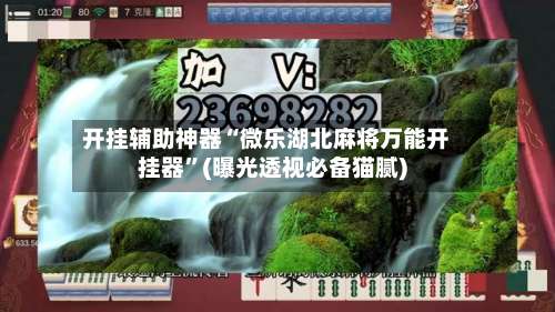 开挂辅助神器“微乐湖北麻将万能开挂器”(曝光透视必备猫腻)-第2张图片