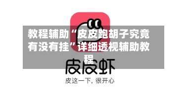 教程辅助“皮皮跑胡子究竟有没有挂”详细透视辅助教程-第2张图片