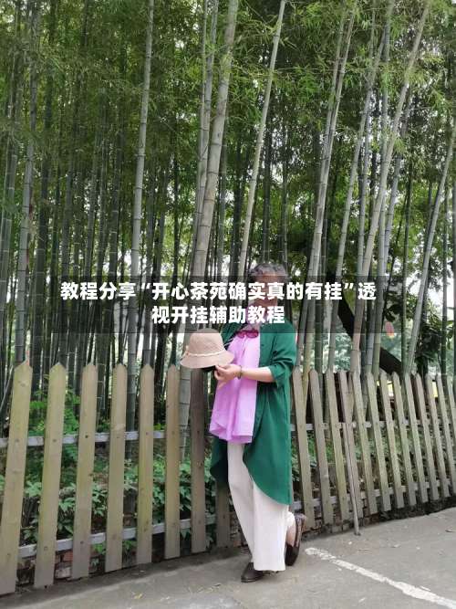 教程分享“开心茶苑确实真的有挂”透视开挂辅助教程-第3张图片