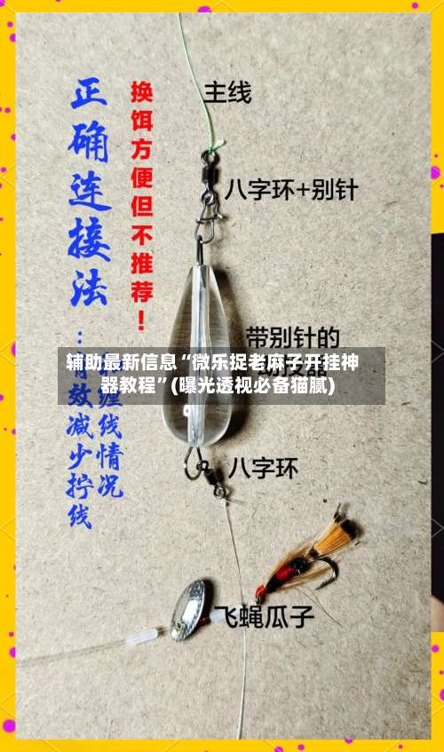 辅助最新信息“微乐捉老麻子开挂神器教程”(曝光透视必备猫腻)-第2张图片