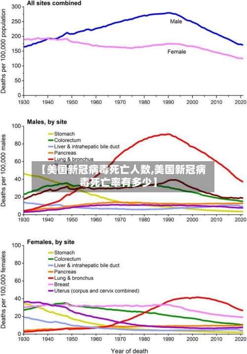 【美国新冠病毒死亡人数,美国新冠病毒死亡率有多少】-第3张图片