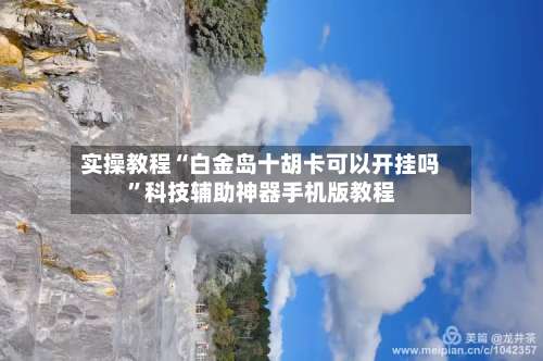 实操教程“白金岛十胡卡可以开挂吗”科技辅助神器手机版教程-第2张图片