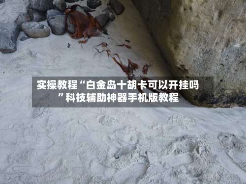 实操教程“白金岛十胡卡可以开挂吗”科技辅助神器手机版教程-第3张图片