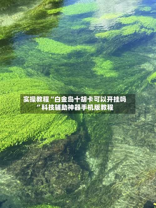 实操教程“白金岛十胡卡可以开挂吗	”科技辅助神器手机版教程-第1张图片