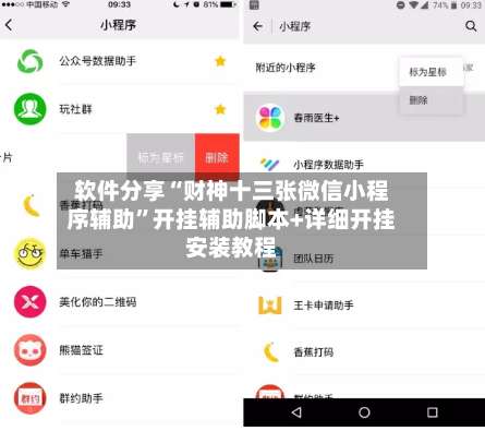 软件分享“财神十三张微信小程序辅助	”开挂辅助脚本+详细开挂安装教程-第1张图片