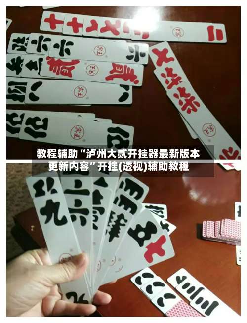 教程辅助“泸州大贰开挂器最新版本更新内容	”开挂(透视)辅助教程-第3张图片