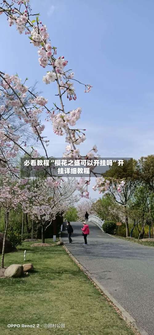 必看教程“樱花之盛可以开挂吗	”开挂详细教程-第1张图片