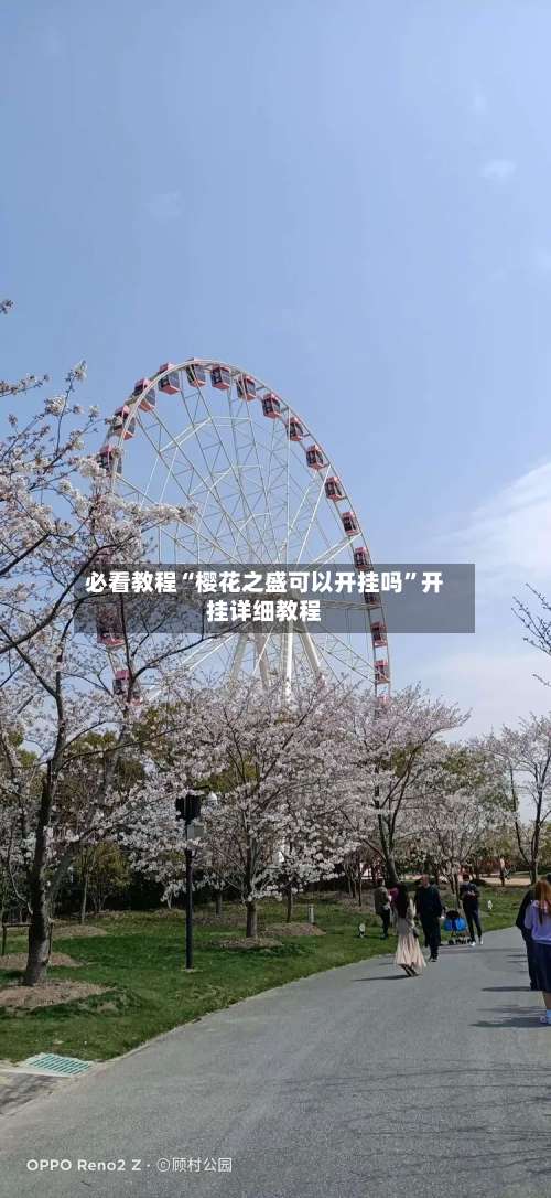 必看教程“樱花之盛可以开挂吗”开挂详细教程-第2张图片