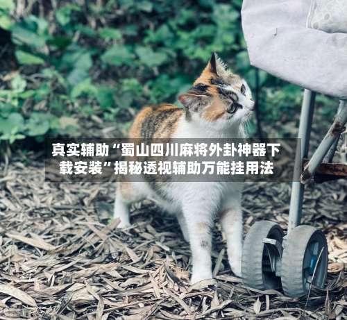 真实辅助“蜀山四川麻将外卦神器下载安装”揭秘透视辅助万能挂用法-第2张图片