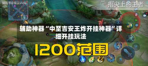 辅助神器“中至吉安王炸开挂神器	”详细开挂玩法-第1张图片