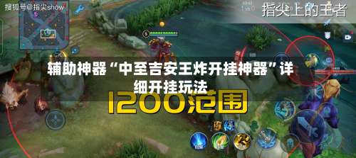 辅助神器“中至吉安王炸开挂神器”详细开挂玩法-第3张图片