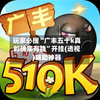 玩家必搜“广丰五十k真的确实有挂”开挂(透视)辅助神器-第2张图片