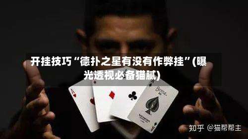 开挂技巧“德扑之星有没有作弊挂	”(曝光透视必备猫腻)-第3张图片