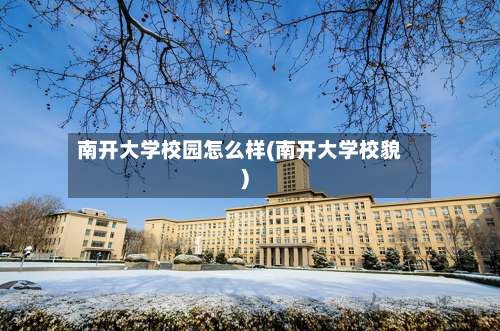 南开大学校园怎么样(南开大学校貌)-第1张图片