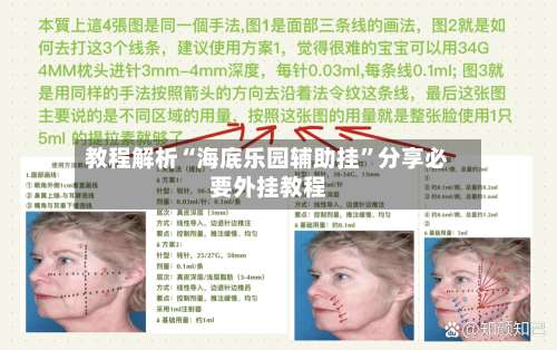 教程解析“海底乐园辅助挂”分享必要外挂教程-第1张图片