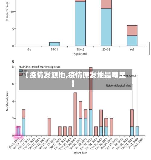 【疫情发源地,疫情原发地是哪里】-第2张图片