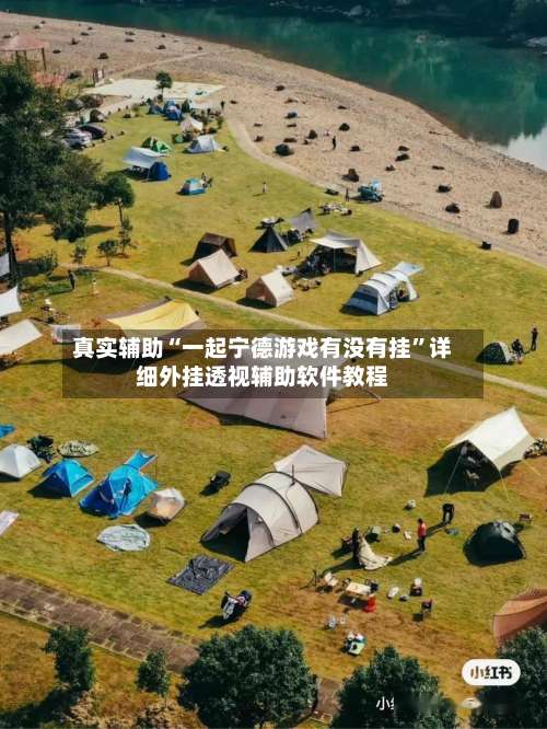 真实辅助“一起宁德游戏有没有挂	”详细外挂透视辅助软件教程-第3张图片