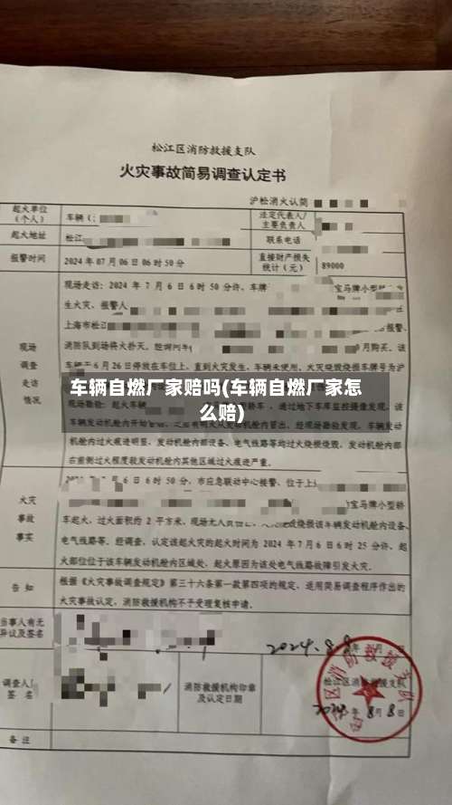 车辆自燃厂家赔吗(车辆自燃厂家怎么赔)-第1张图片