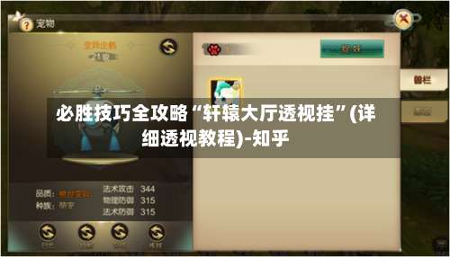 必胜技巧全攻略“轩辕大厅透视挂”(详细透视教程)-知乎-第3张图片