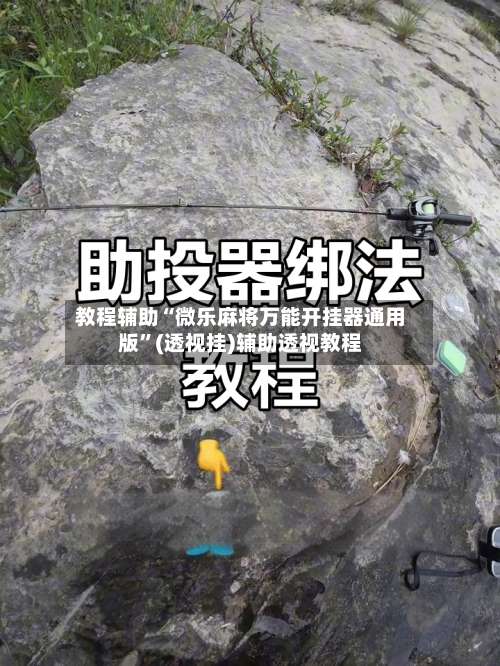 教程辅助“微乐麻将万能开挂器通用版	”(透视挂)辅助透视教程-第2张图片