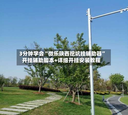 3分钟学会“微乐陕西挖坑挂辅助器”开挂辅助脚本+详细开挂安装教程-第3张图片