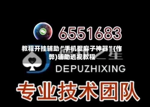 教程开挂辅助“手机捉麻子神器	”(作弊)辅助透视教程-第2张图片