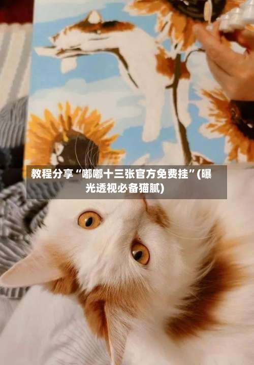 教程分享“嘟嘟十三张官方免费挂	”(曝光透视必备猫腻)-第2张图片