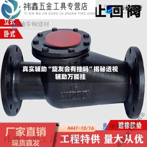 真实辅助“旋友会有挂吗	”揭秘透视辅助万能挂-第1张图片