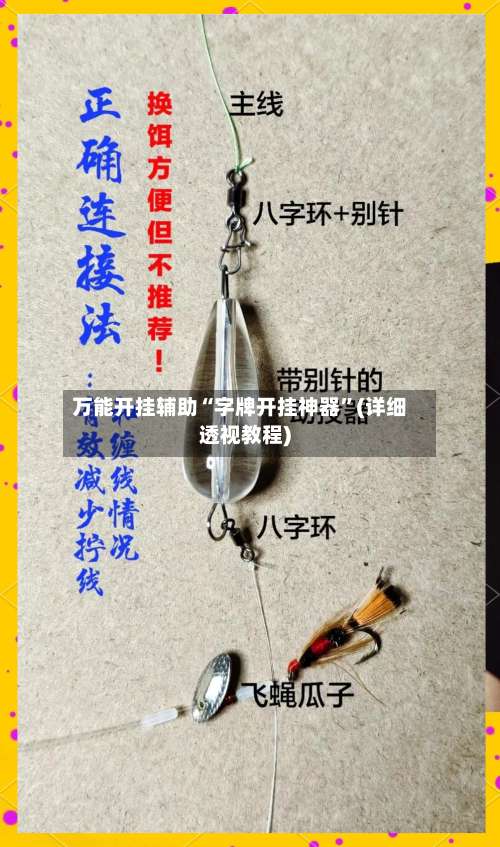 万能开挂辅助“字牌开挂神器”(详细透视教程)-第1张图片