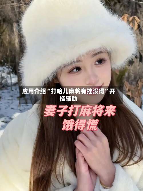 应用介绍“打哈儿麻将有挂没得”开挂辅助-第3张图片